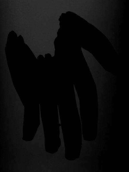 La main noire