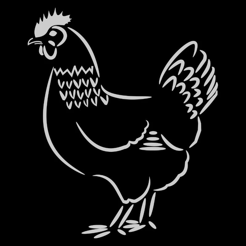 Poulet / poule