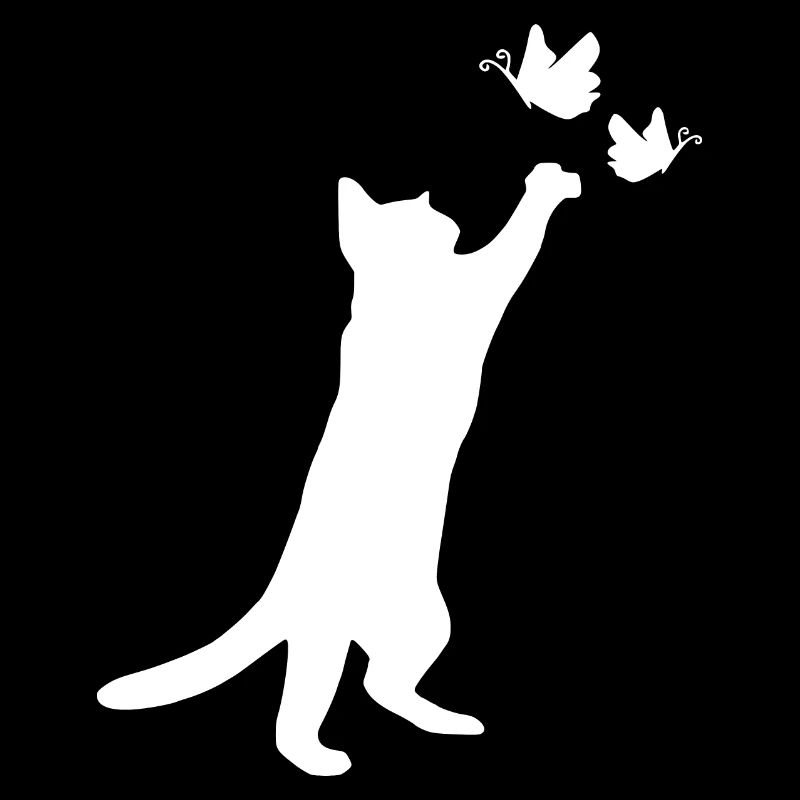 jouer chat mignon chat cadeau chat