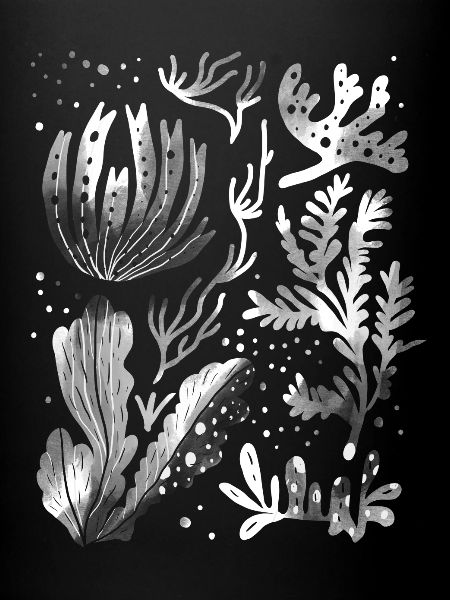 Algae underwater diving