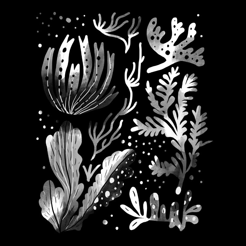 Algae underwater diving