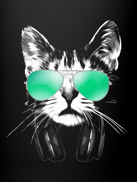 Cool DJ Cat