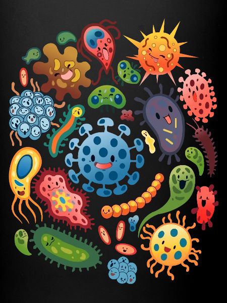 Virus Bactérie
