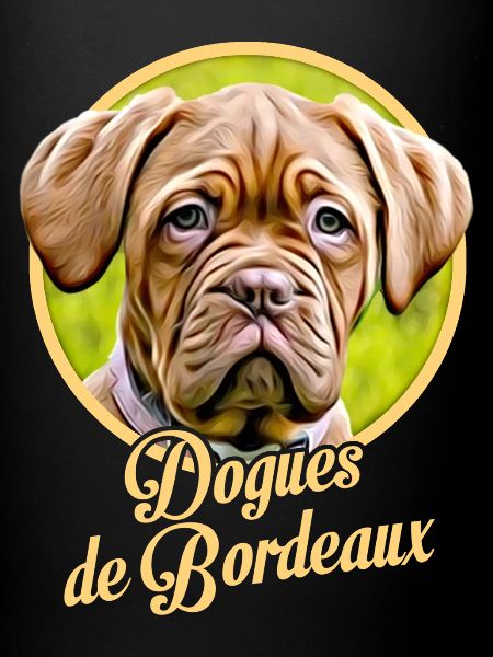 Dogue de Bordeaux