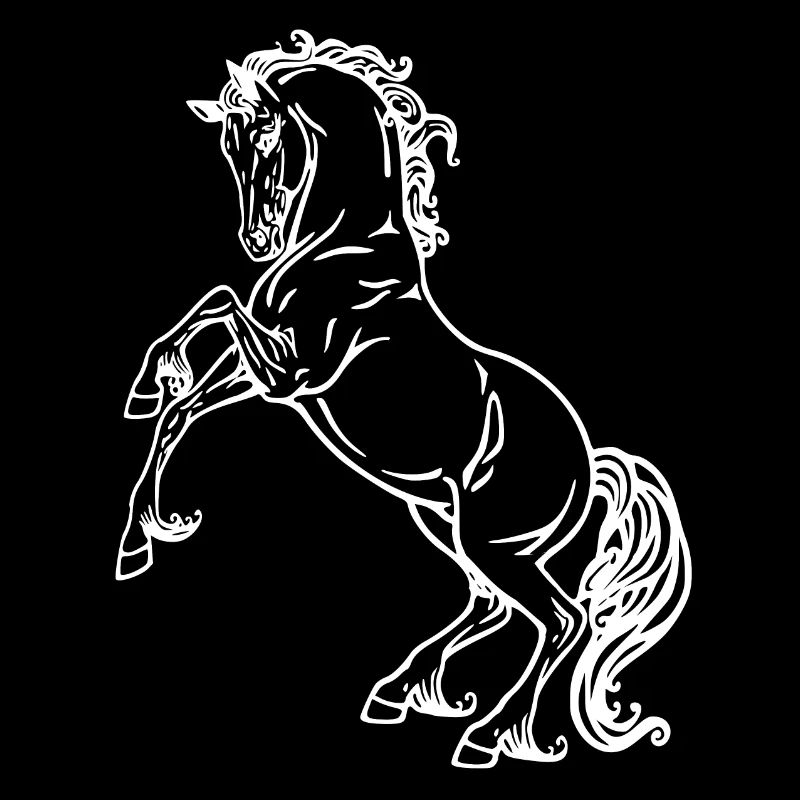 Pferd Pony Rappe Hengst Stute Wallach Warmblut