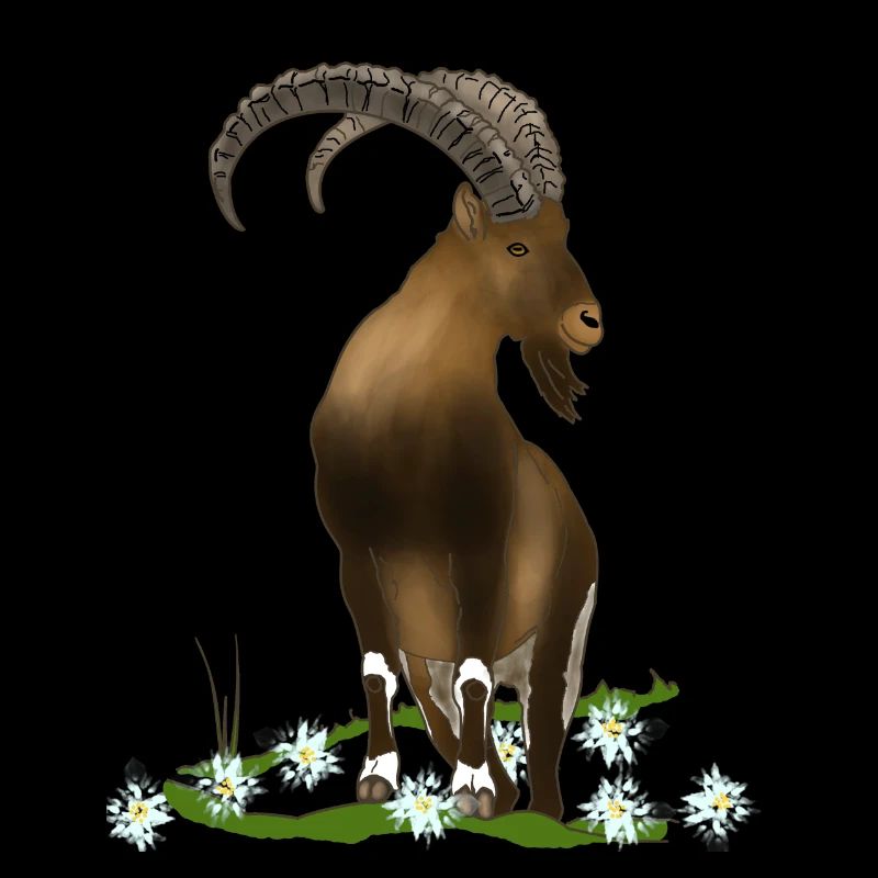 Steinbock, Berge, Alpen