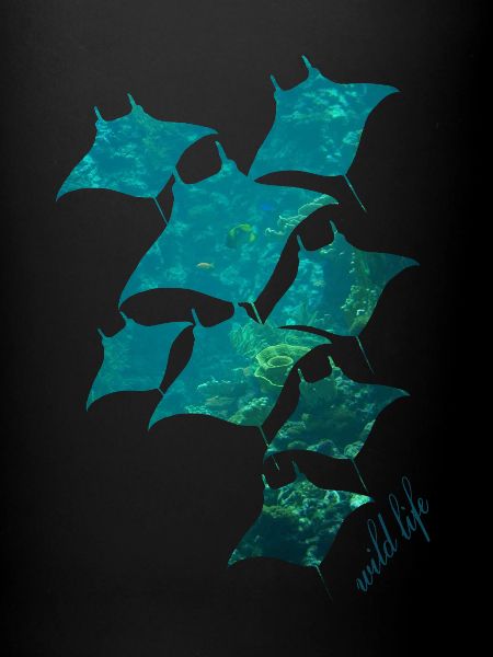 Rays Wildlife