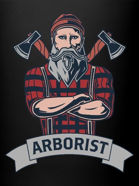 Tree climber arborist arborist tree care