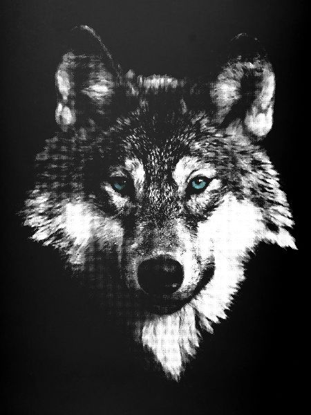 Wolf wolf head