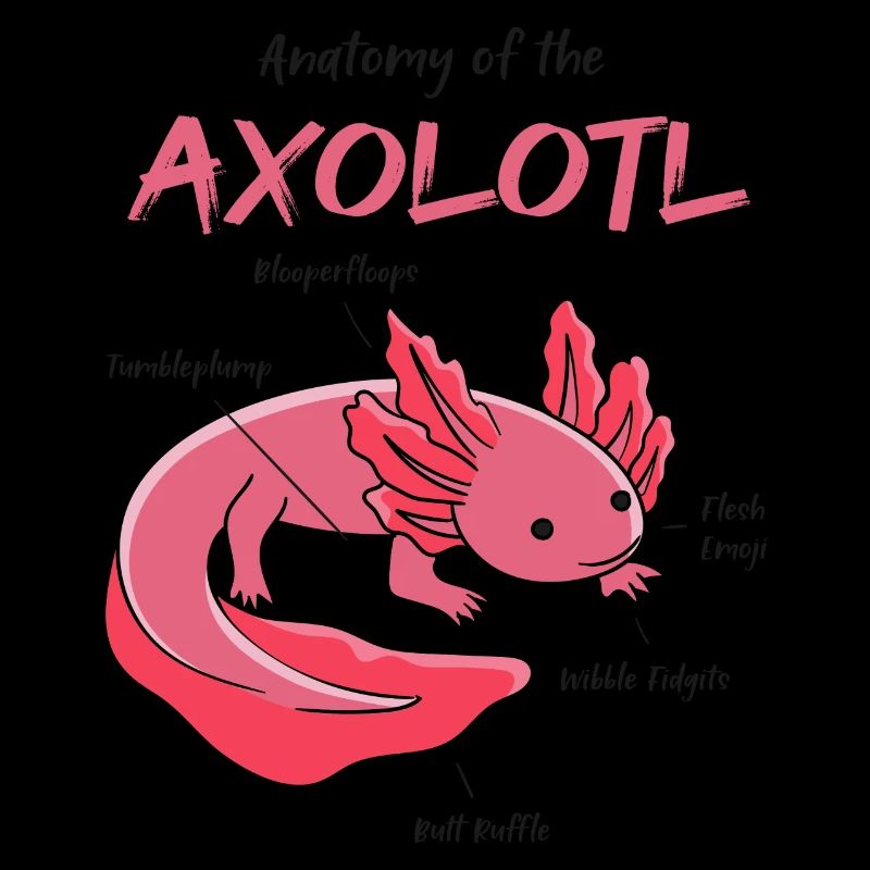 Axolotl Anatomie