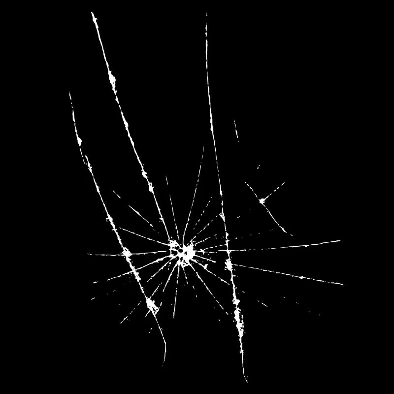 Risse / Kratzer / Sprung