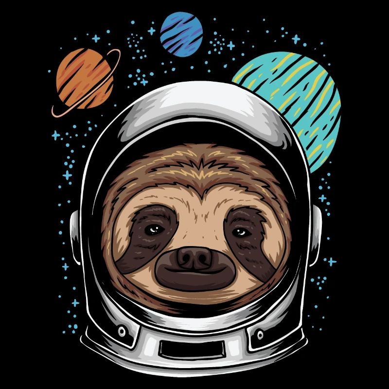 Astro Sloth