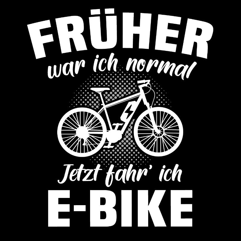 Ebike Elektrofahrrad Pedelec Ebiker