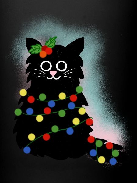 Chat de Noël