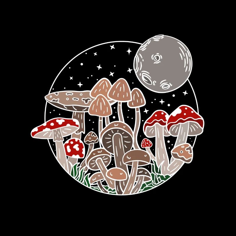Les champignons adorent