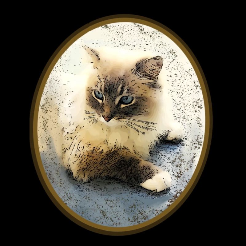 Katze