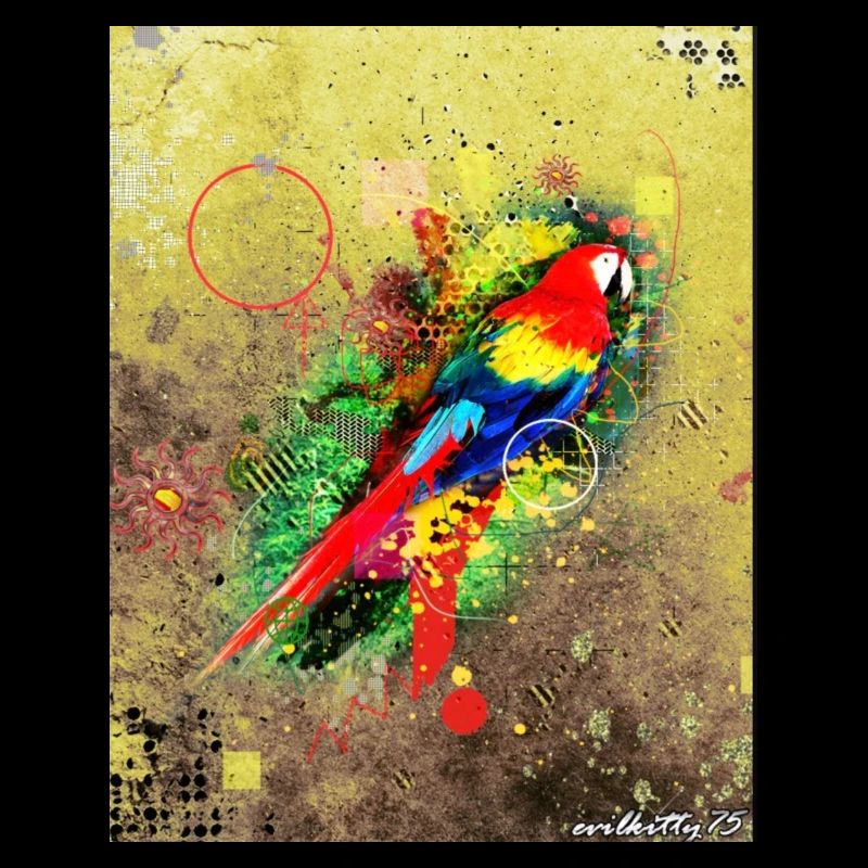 Graffiti aviaire