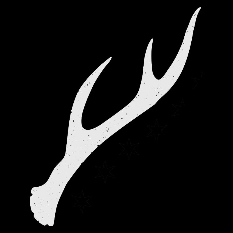 Stange (Sechsender) Geweih Rehbock RECHTS