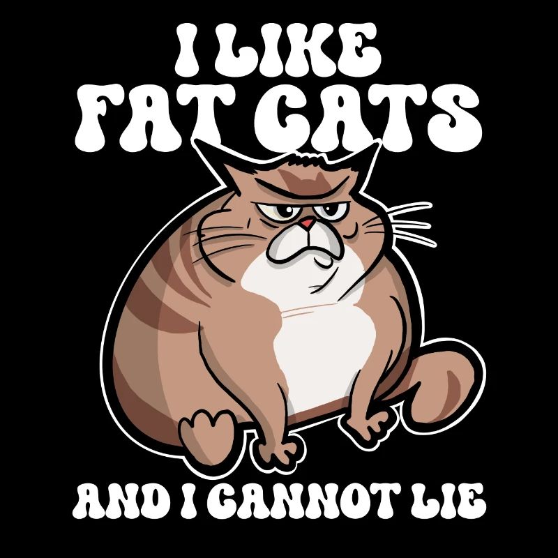 Fette Katze