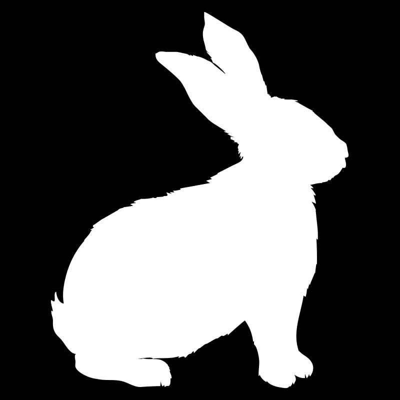 Rabbit vector