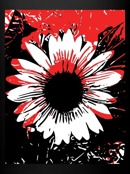 Sonnenblume