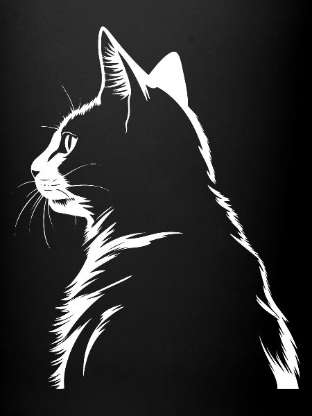 Chat, Motif De Chat