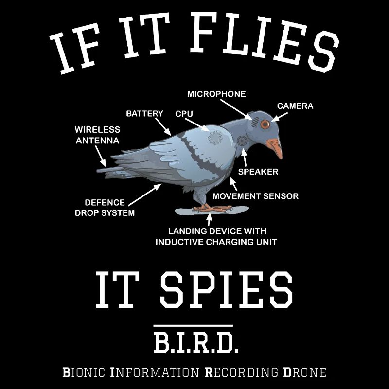 Définition du pigeon