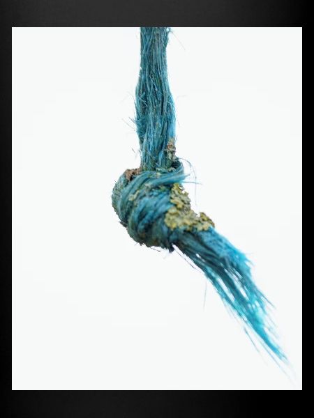 I'm a frayed knot
