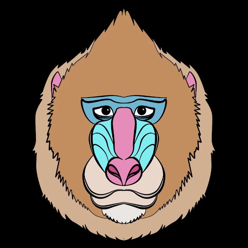 Baboon Pavian Primat Affe Affen