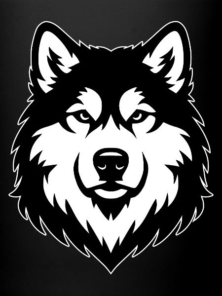 Malamute d’Alaska noir blanc