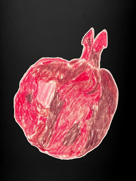 pomegranate