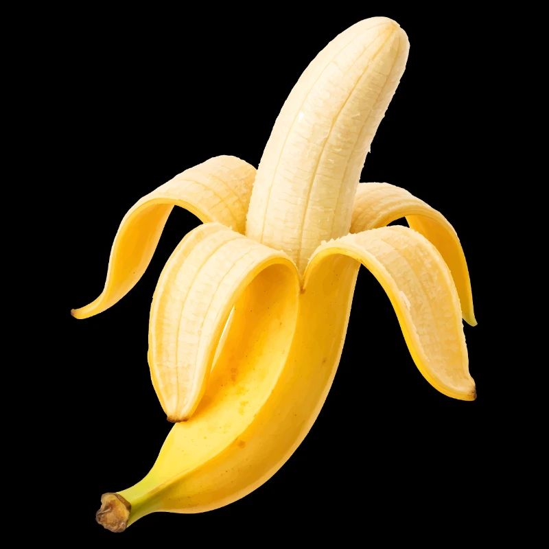 Fresh banana – stylish fruit illustration