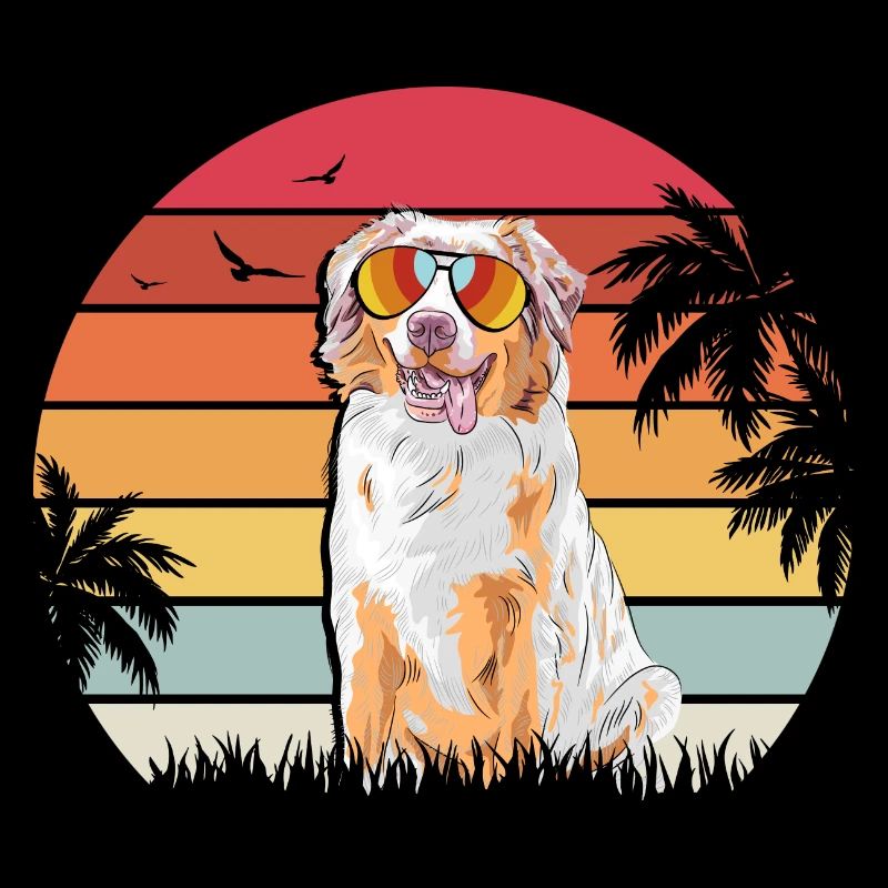 Aussie Australian Shepherd