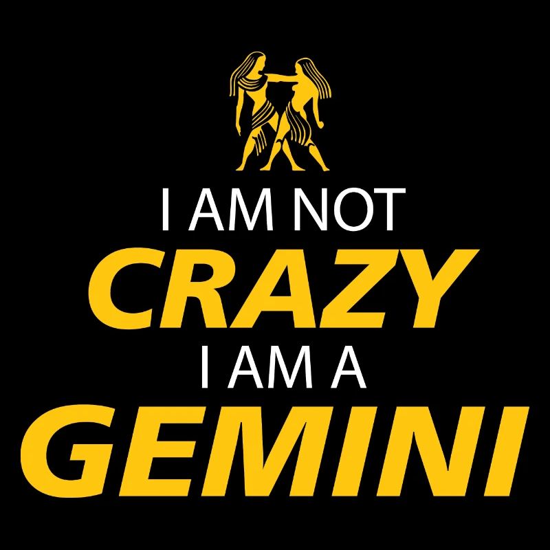 I AM NOT CRAZY I AM A GEMINI