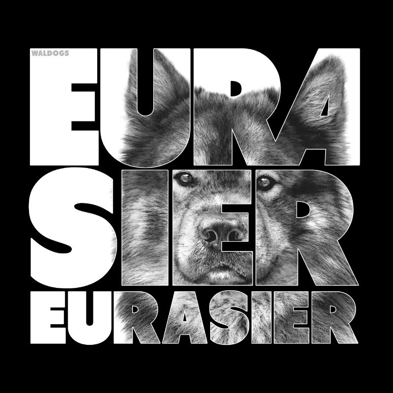 Eurasier V