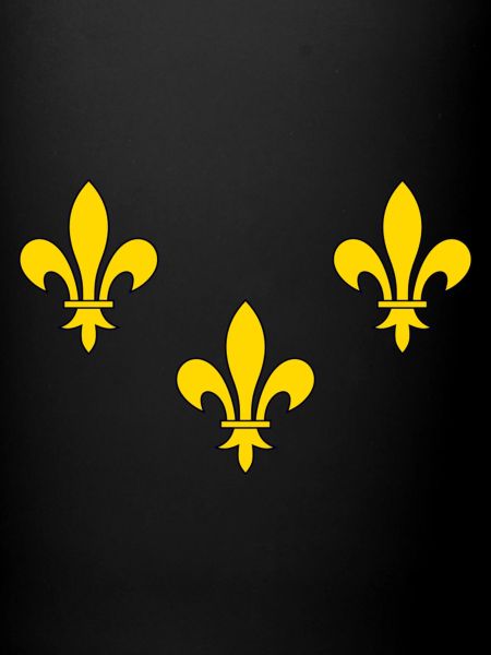 Fleur de Lys