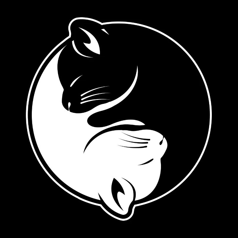 Amis chats Ying et Yang - Amateurs de chats
