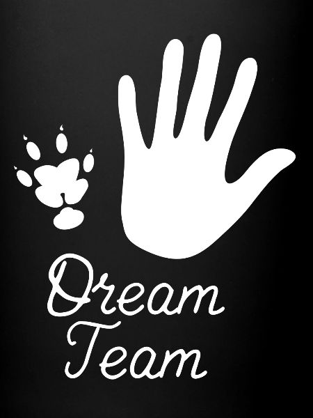 Cochon d'inde DreamTeam