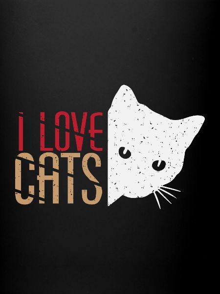 chats ami