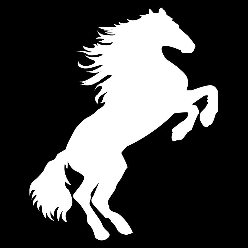 Cheval blanc moisi - Chevaux T shirt & sweat à capuche