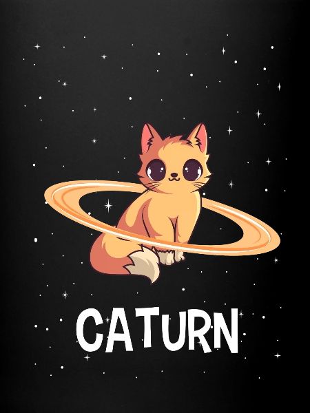 Chat dans l'espace Caturn