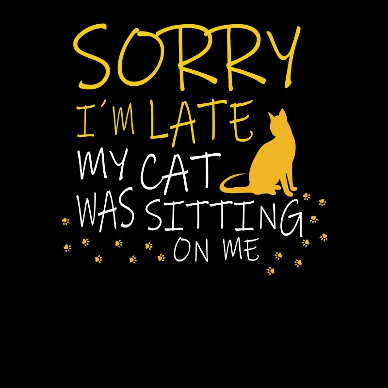 Cat kitten Funny cat owner