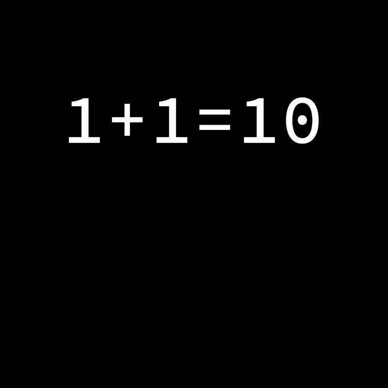 1 + 1 = 10 binary fun computer science software