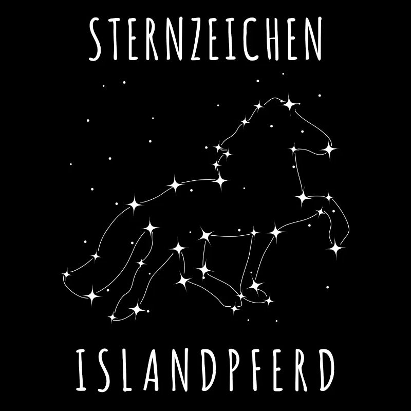 Island Pferd Isländer Sterne Nachthimmel