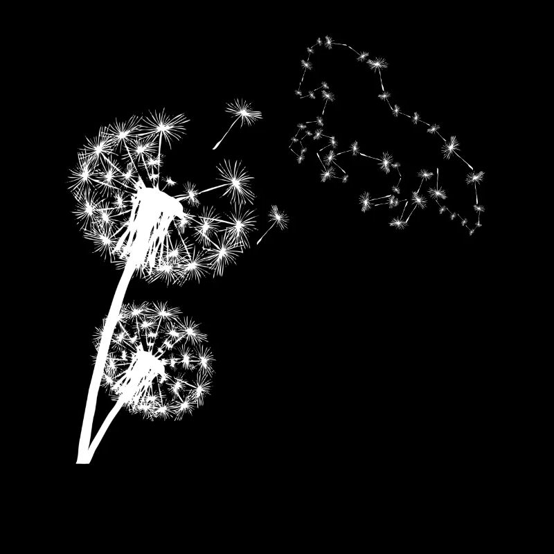 Island Pferd Pusteblume