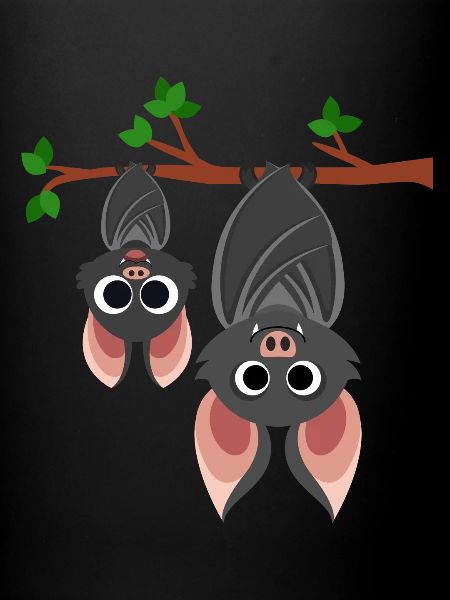 Flagermus flagermus nat blodsukker vampyr