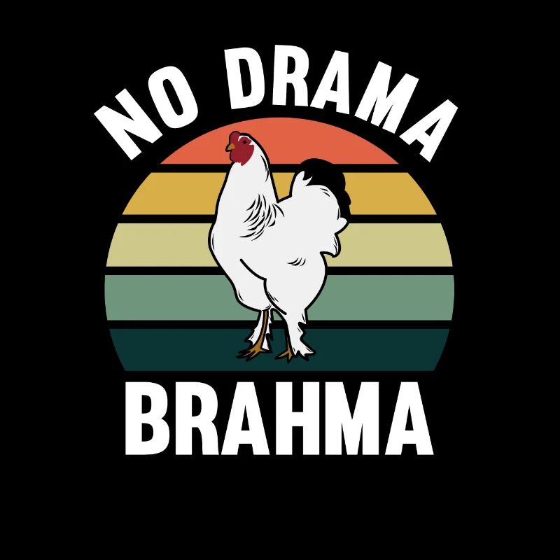 No Drama Brahma Poulets Élevage de poulet coq