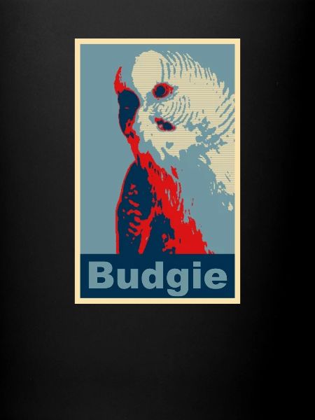 Perruche budgie image