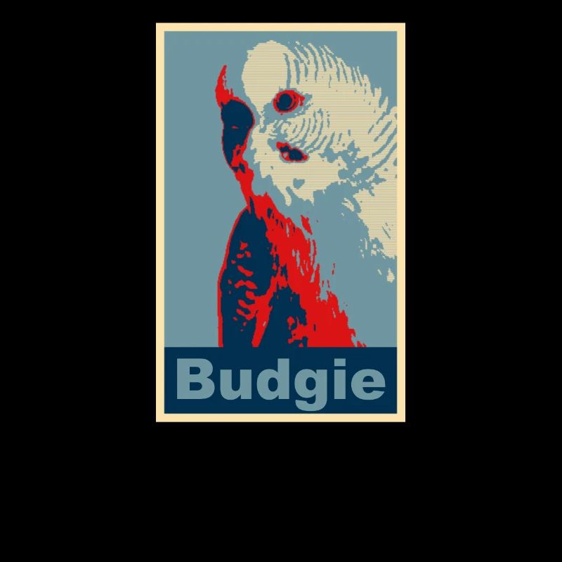 Wellensittich Budgie Bild