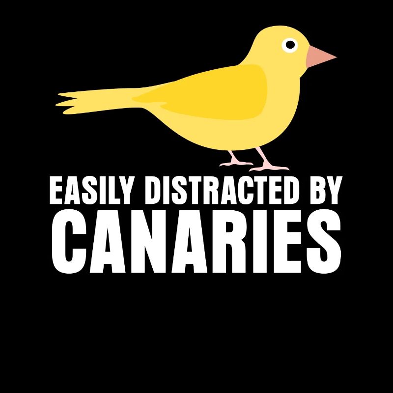 Canari Canari Canari Canari
